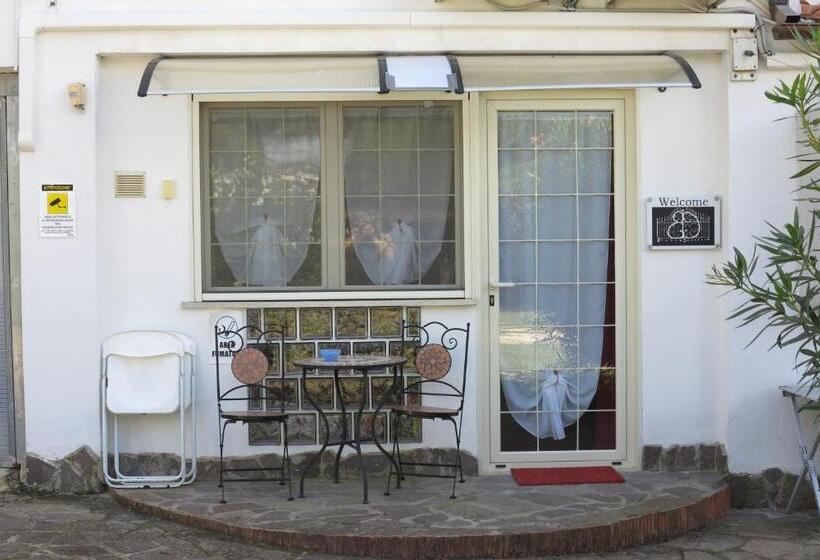 ファミリーステューディオ, Biancocancello