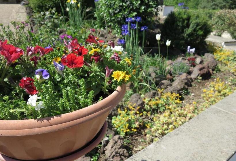 ファミリーステューディオ, Biancocancello