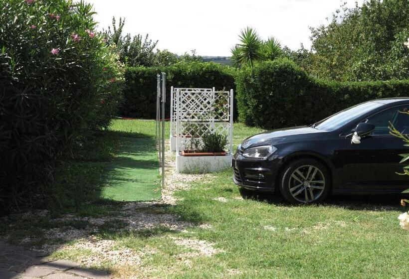 スタンダードルーム, Biancocancello