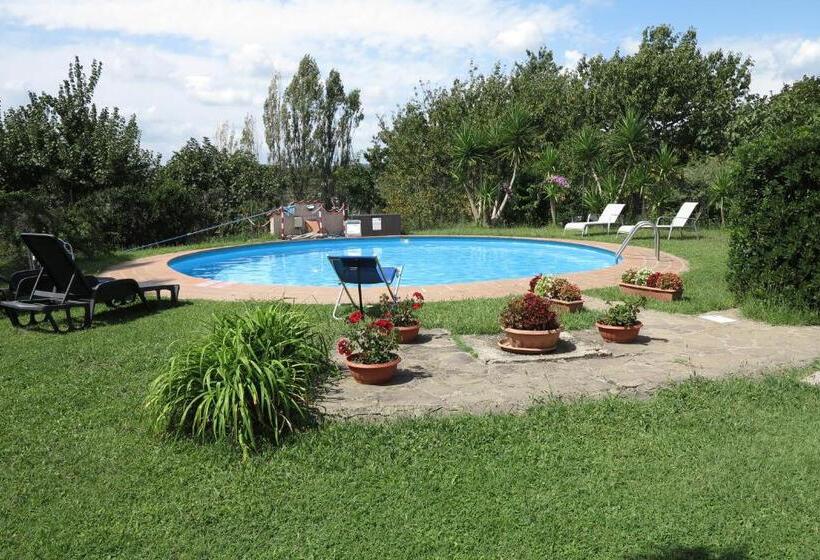 スタンダードルーム, Biancocancello