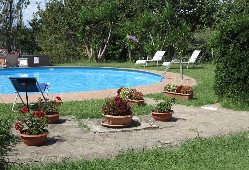 スタンダードルーム, Biancocancello