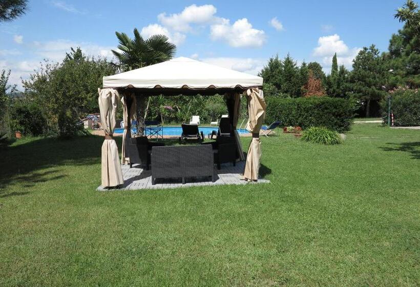 スタンダードルーム, Biancocancello