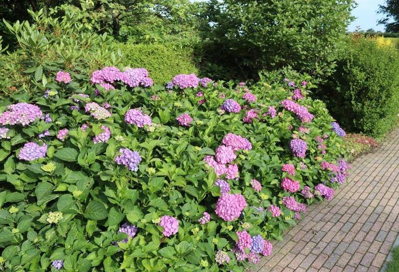 デラックスファミリールーム, B&b Huize Cossee