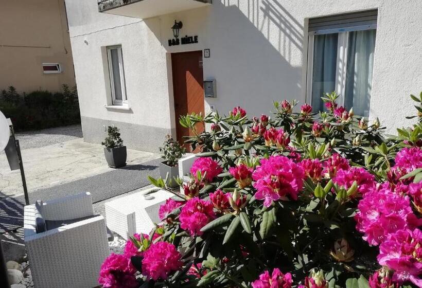 דירת שני חדרים, B&b Miele