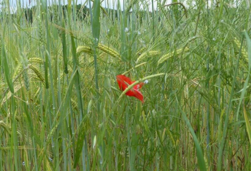 Standard Værelse, Hameau Des Damayots