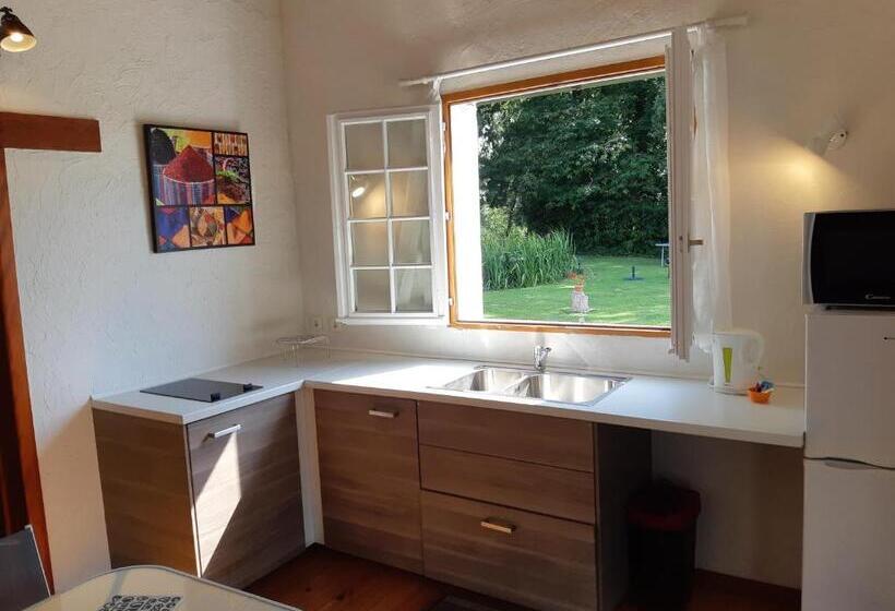 חדר סטנדרט נוף לגינה, Le Moulin De Saubrigues