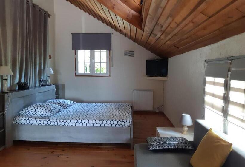 חדר סטנדרט נוף לגינה, Le Moulin De Saubrigues