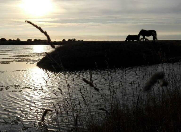 חדר סטנדרט נוף לגינה, Les Pensions Du Joslin