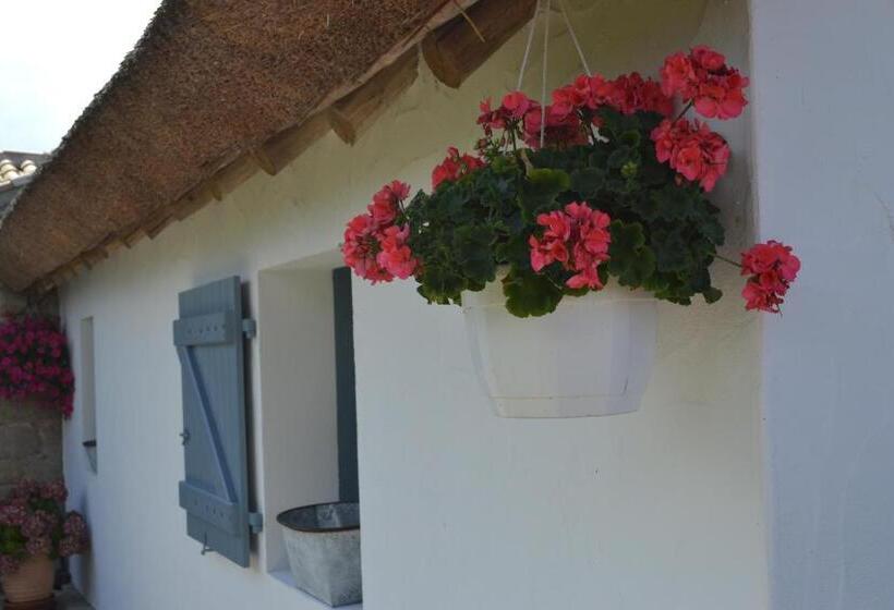 חדר סטנדרט נוף לגינה, Les Pensions Du Joslin