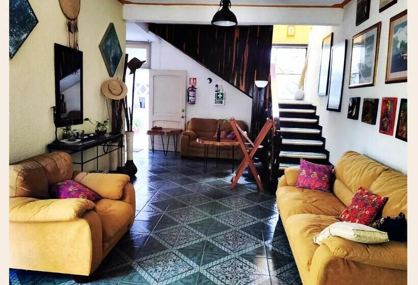 חדר סטודיו סטנדרד, Casa Del Pintor Chetumal