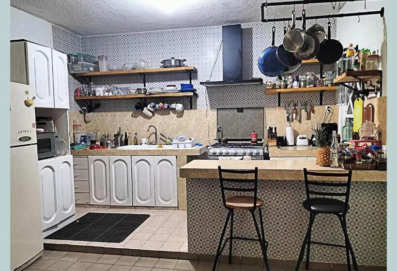 חדר סטודיו סטנדרד, Casa Del Pintor Chetumal