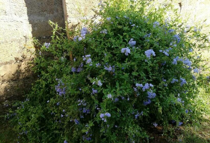 חדר דלוקס, B&b Paduli Piani