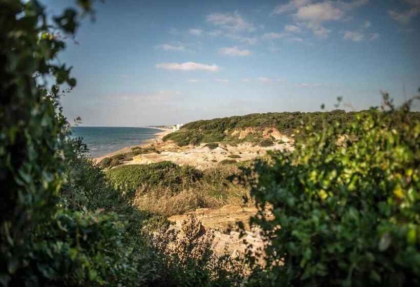 سوئیت با بالکن, Vacationers Refuge