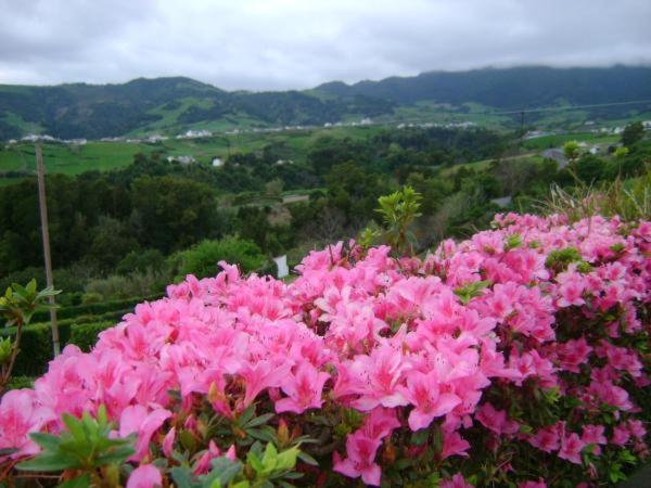 ２ベッドルームハウス, Quinta Do Quarteiro