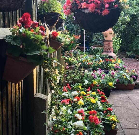 이코노미 싱글 룸, 38 Whitehall Road