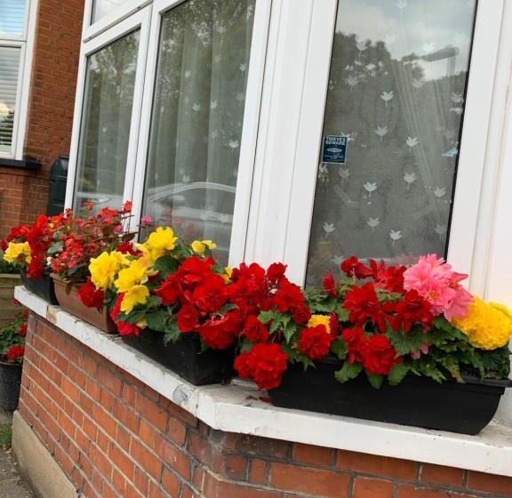 이코노미 싱글 룸, 38 Whitehall Road