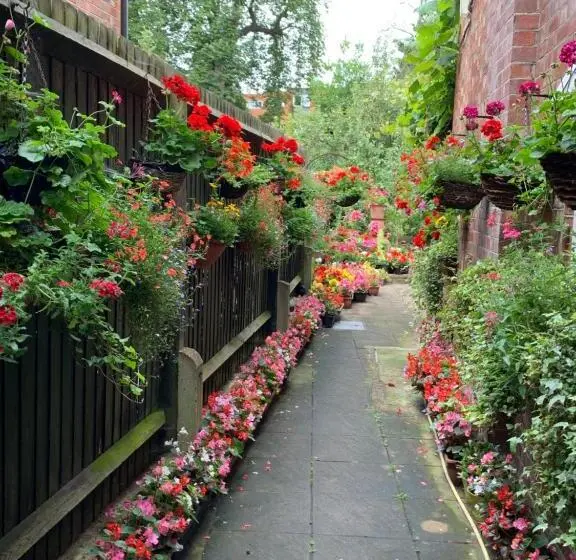 デラックスルーム, 38 Whitehall Road