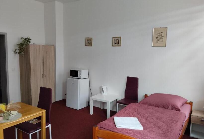 스탠다드 싱글 룸, Pension Eberhart