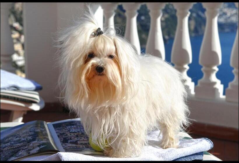 غرفة ديلوكس, Villa Briganti Seaview Terrace