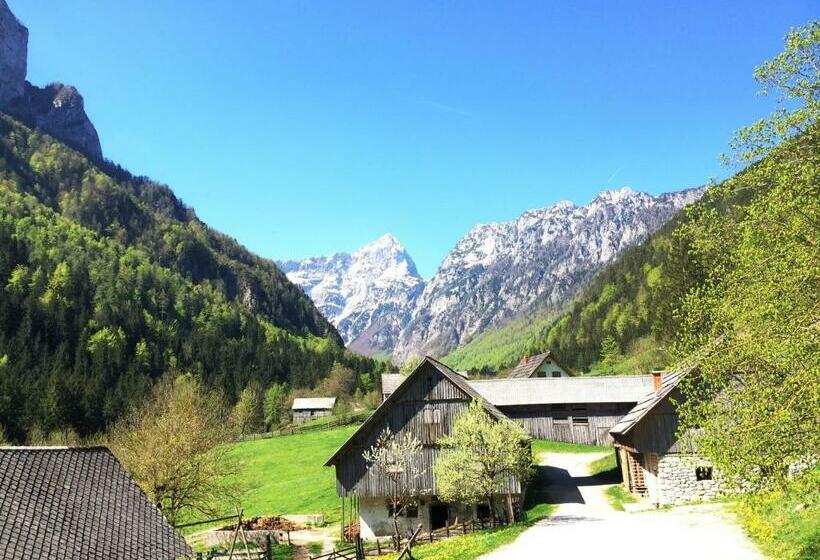 اتاق استاندارد سه نفره, Govc Vršnik