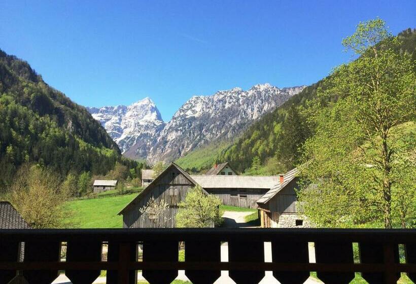 اتاق استاندارد سه نفره, Govc Vršnik