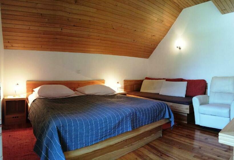 اتاق استاندارد سه نفره, Govc Vršnik