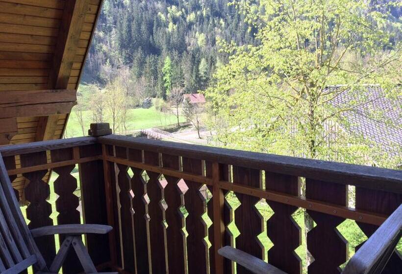 اتاق استاندارد, Govc Vršnik