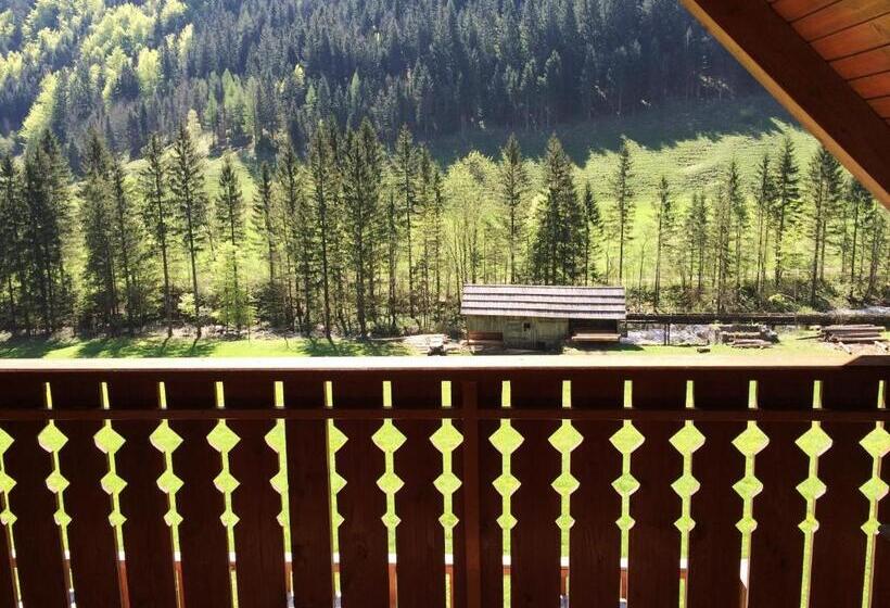 اتاق استاندارد با بالکن, Govc Vršnik