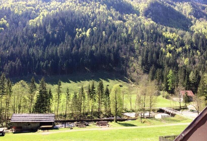 اتاق استاندارد, Govc Vršnik