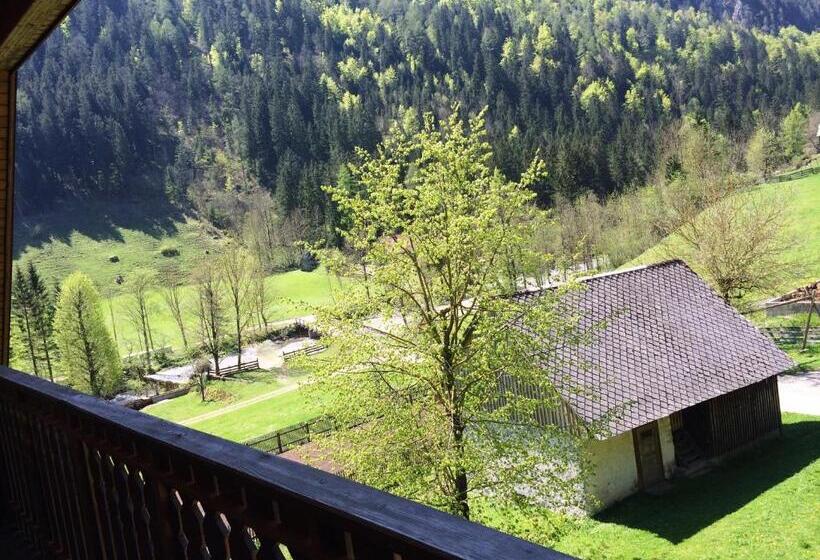 اتاق استاندارد با بالکن, Govc Vršnik