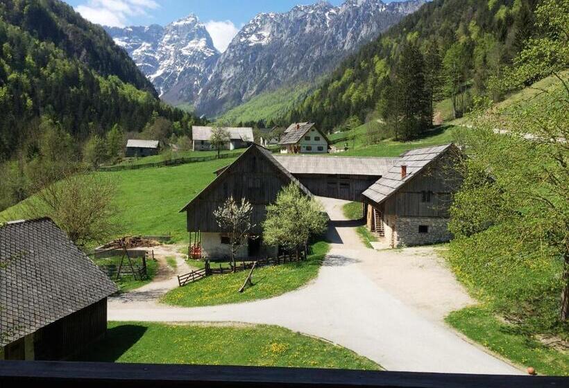 اتاق استاندارد با بالکن, Govc Vršnik