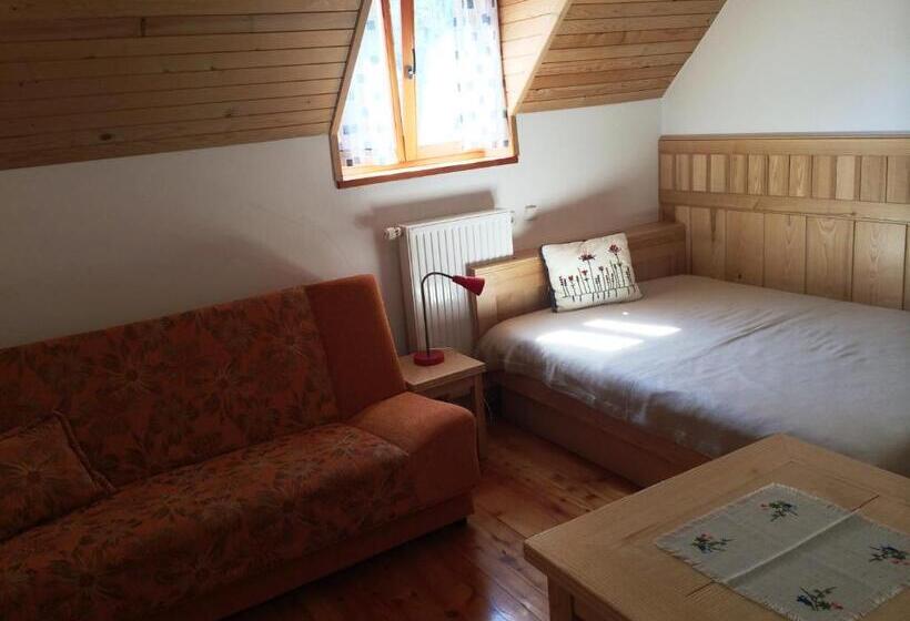 اتاق استاندارد, Govc Vršnik