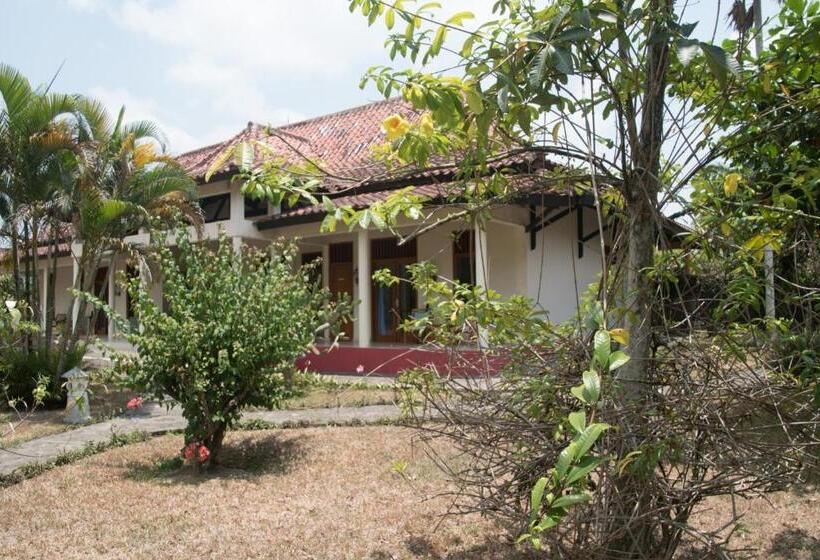 标准房带园景, Guesthouse Rumah Senang