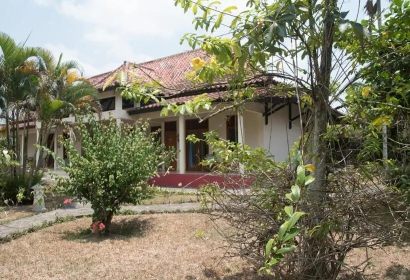 ガーデンビュースタンダードルーム, Guesthouse Rumah Senang
