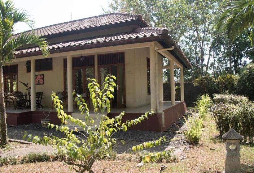 标准房带园景, Guesthouse Rumah Senang