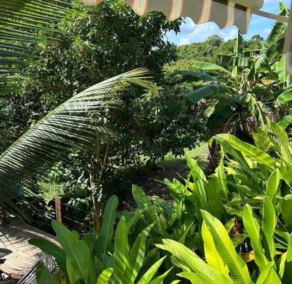 کابین, L Escale Tropicale