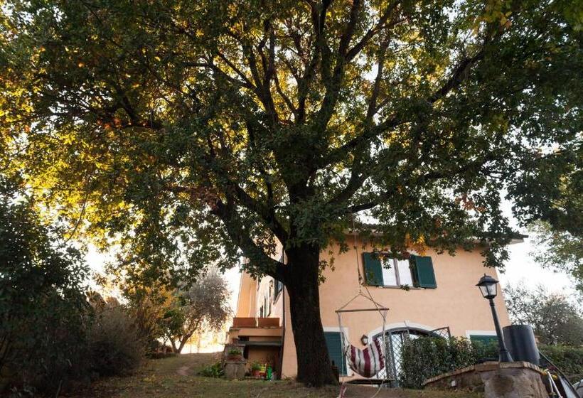 １ベッドルームアパートメント, B&b Le Querce