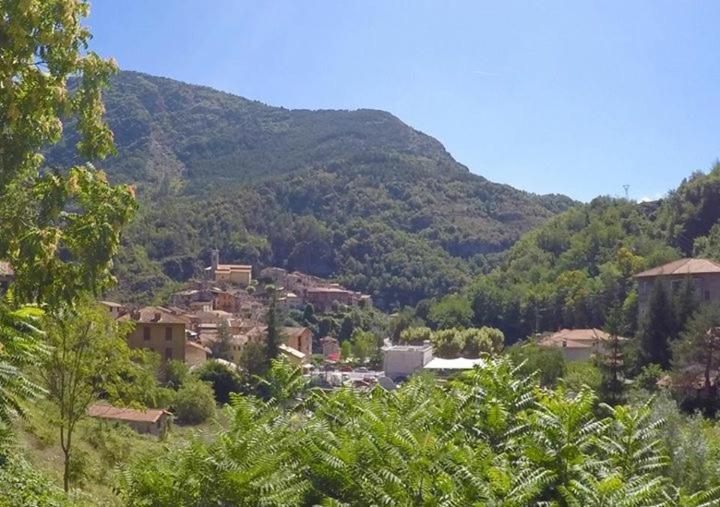 スタンダードルーム, Les Hortensias