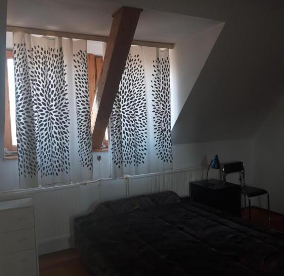 ファミリールーム, Zsigmond Ház