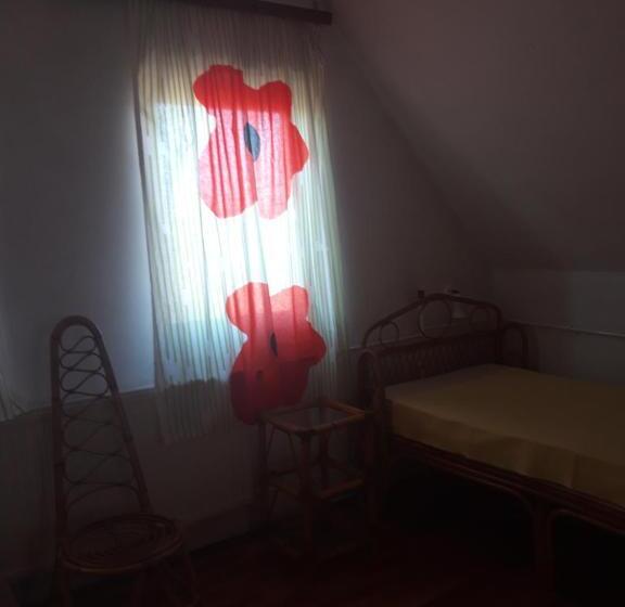 バスルーム共有のトリプルスタンダード, Zsigmond Ház