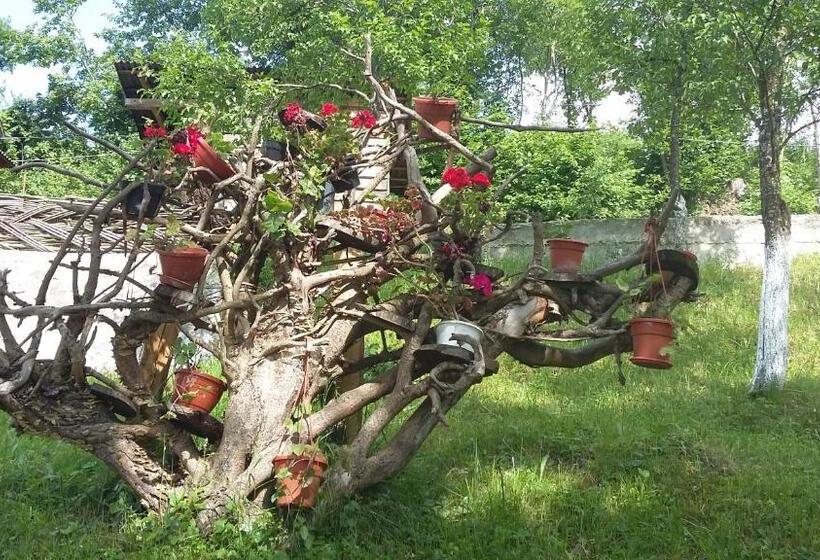 스탠다드 룸, Pensiunea La Gorgan