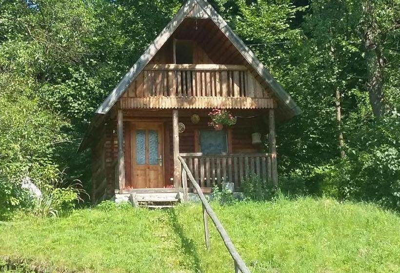 스탠다드 룸, Pensiunea La Gorgan