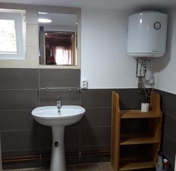 标准间, Pensiunea La Gorgan