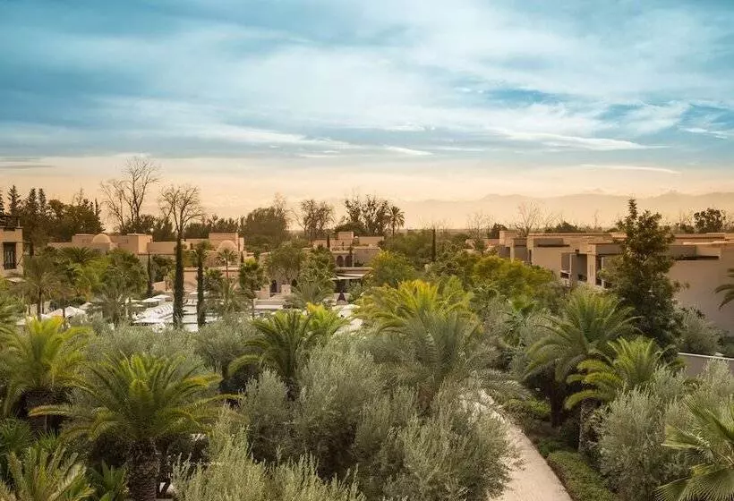 Suite Garden View