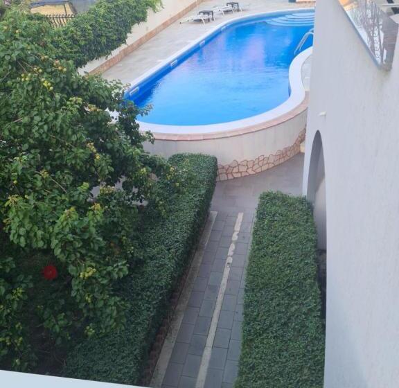 基本间, Alexander