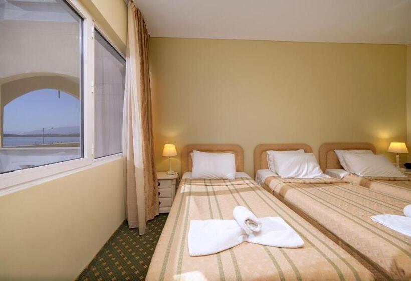 غرفة قياسية ثلاثية, Angelika Pallas