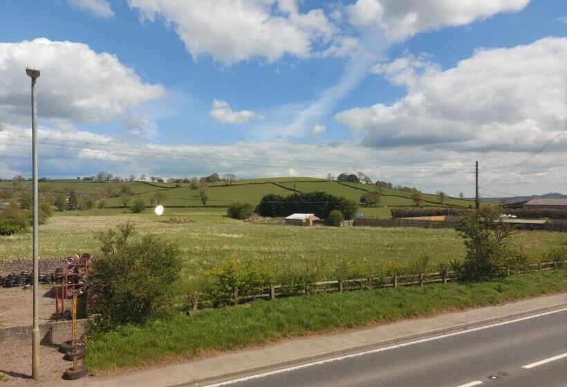 带大床的标准间, The Well Inn