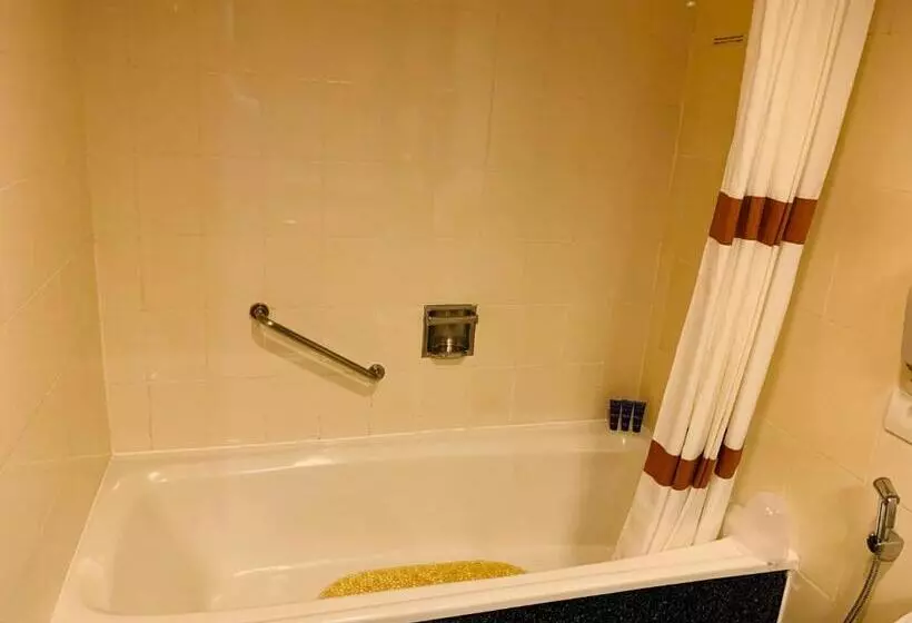 シティビューのデラックスルーム, Vivanta Vadodara