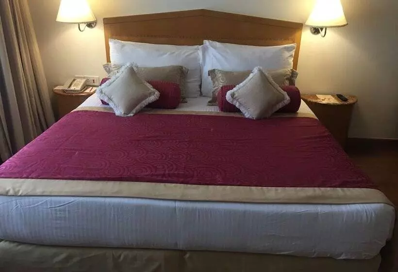 デラックススイート, Vivanta Vadodara
