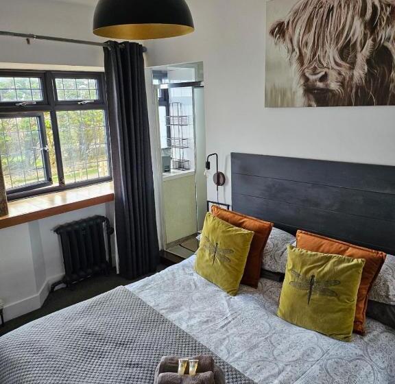 Basic Room, Widemouth Manor